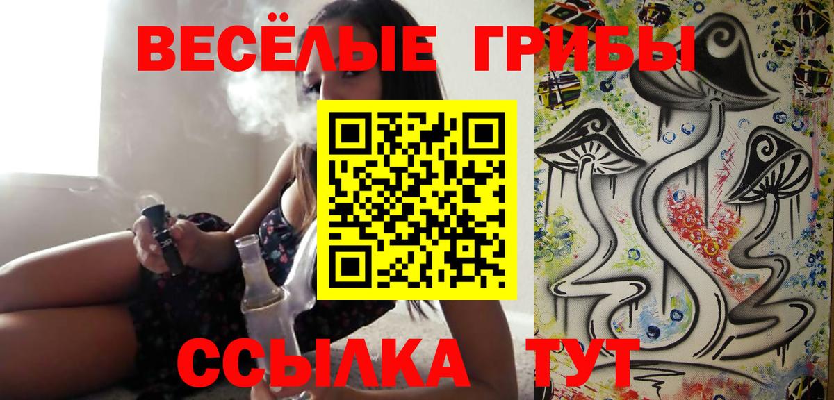 Галлюциногенные грибы Cubensis Усть-Джегута