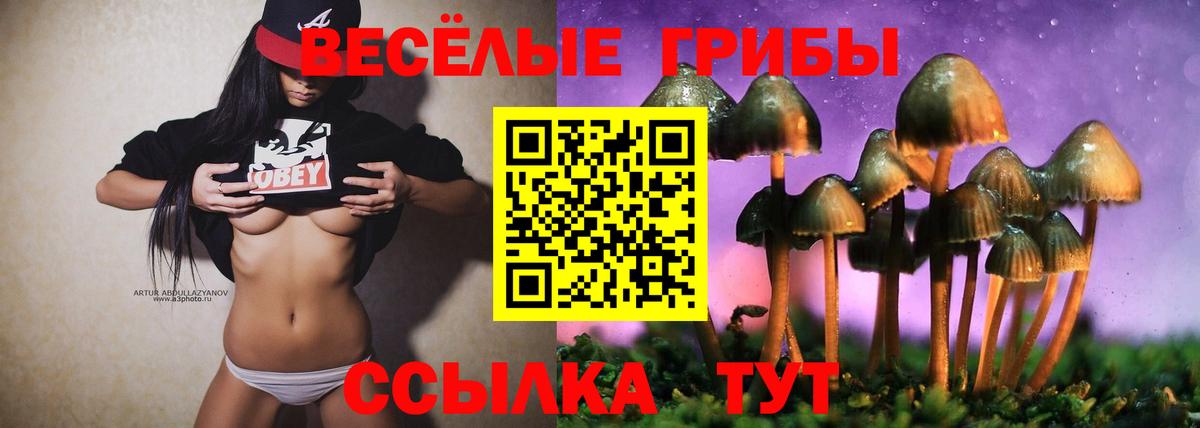 Галлюциногенные грибы GOLDEN TEACHER  Вход с VPN  Усть-Джегута 